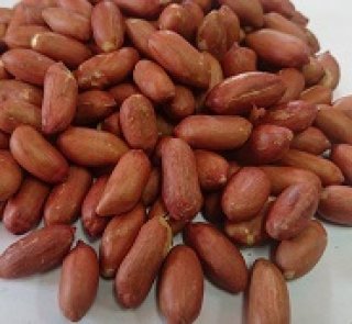 アメリカ産クルミ（11.34kg）業務用
